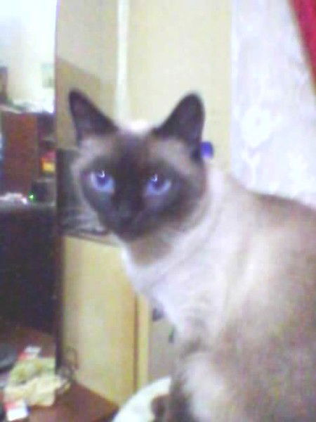 Таня Соловьёва