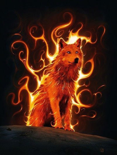 Саня Данилов