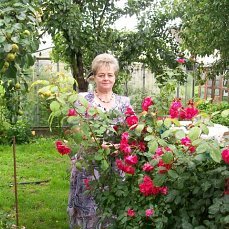 Добролинская Наталья