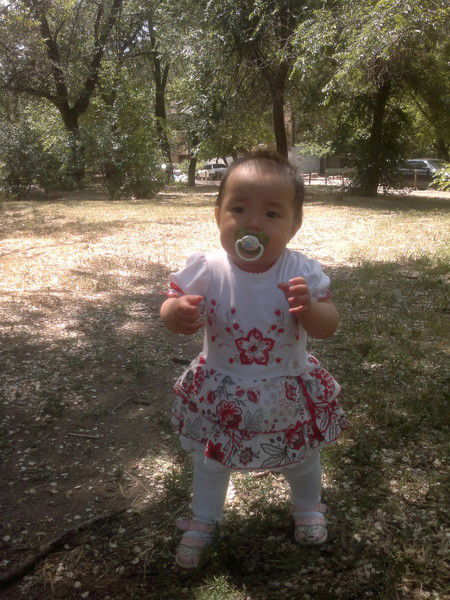 ***************** ***********