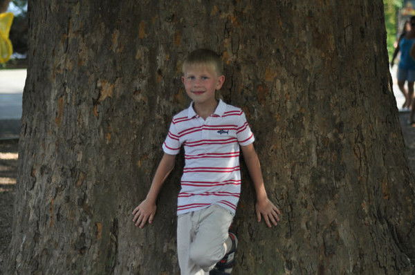 Всеволод Кудинов