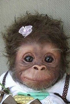 Марина Стешина