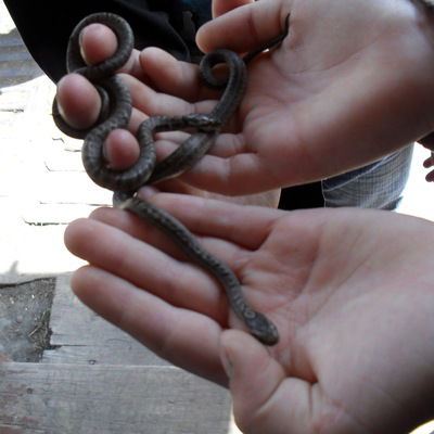 Данил Семенищев