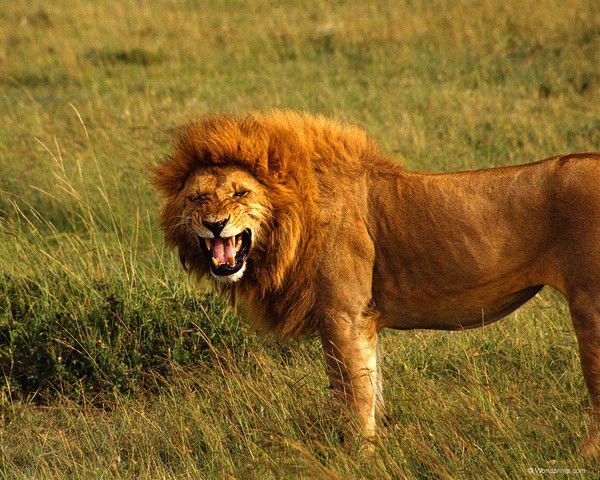 Наталья Лындина