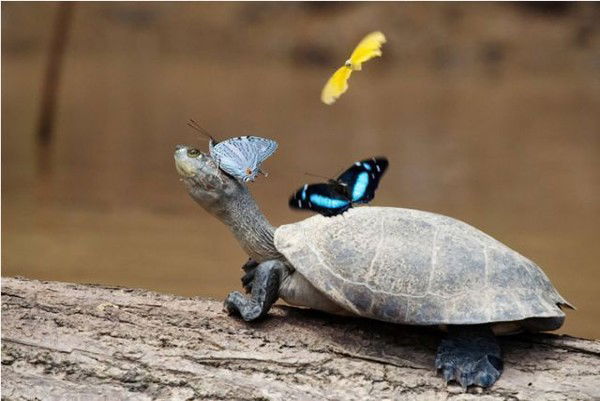 Евгения Кондратьева