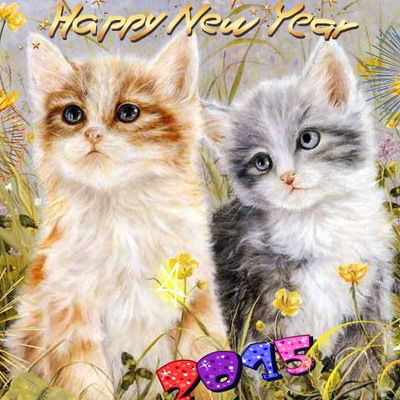 Диана Курбан