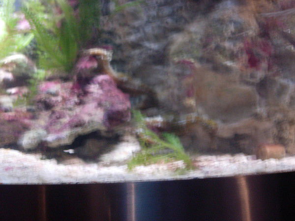 Евгений Фурсов