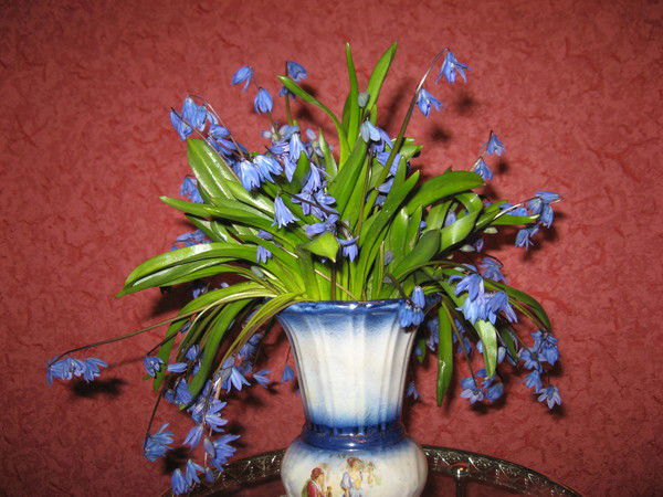 Елена Носкова