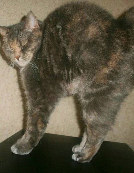 Валерия Епифанова