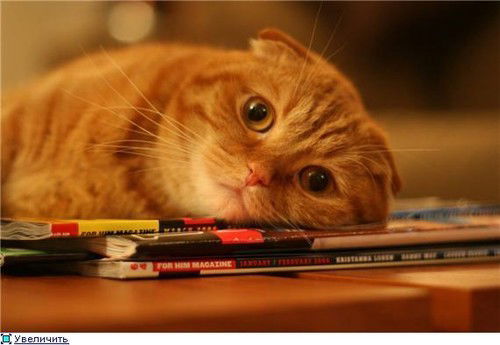 Наталья Белова