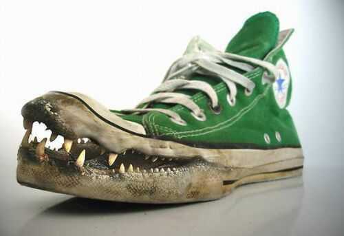 Илья Караваев