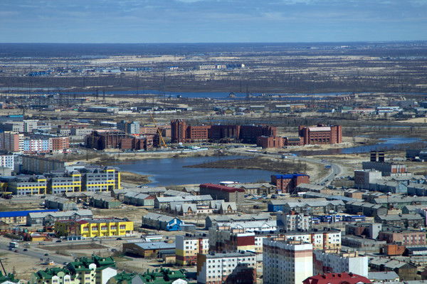 Сергей Почекутов