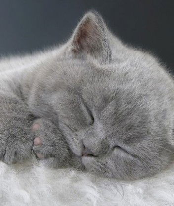 Маргарита Храмова