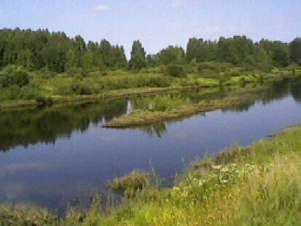 Игорь Бушманов