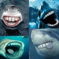 Денис Сергеевич