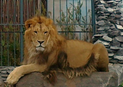 Борис Конторович