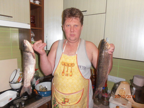 Вячеслав Даниленко