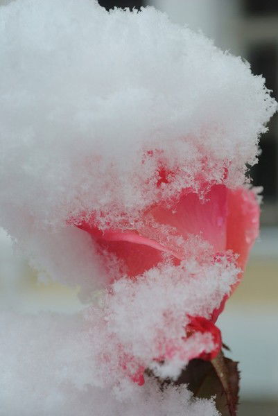 Мария Гаврилкина