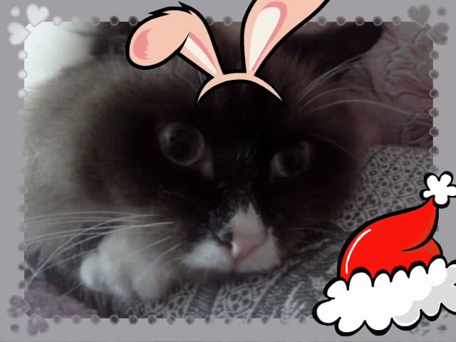 Анна Караваева