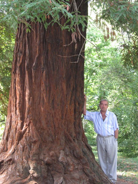 Сергей Хазов