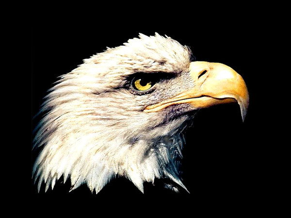 Анатолий Буньков