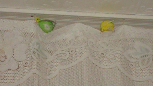 Оксана Жилина