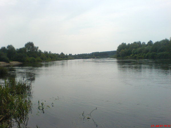 Иван Сидляревич