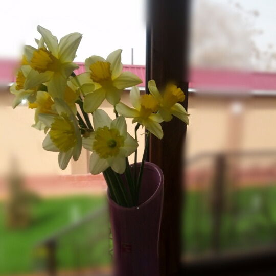 My Chocolate Chocolate