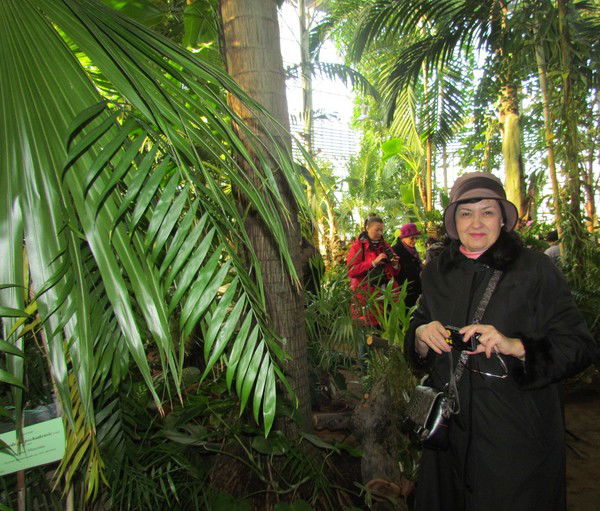 Евгения Яковлева