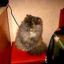 Елена Перхурова
