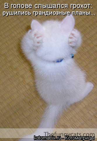 Саша Симонова