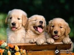 Салтанат Умбеталина