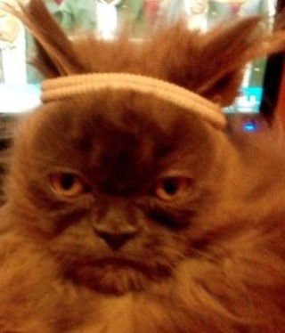 Ирэна Видмич