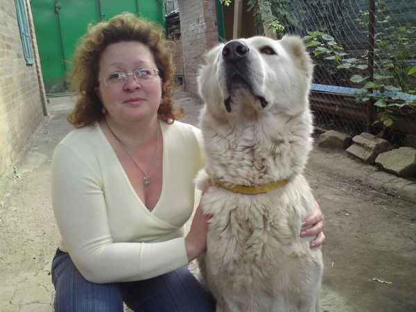 Елена Королева