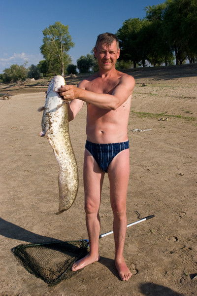 Виктор Владимирович