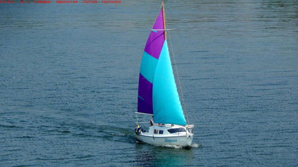 Александр Самойлов