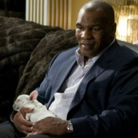 Антон Куликов