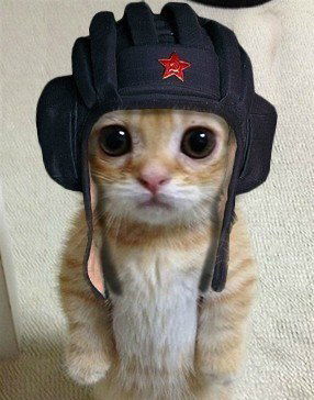 Дмитрий Авдеев