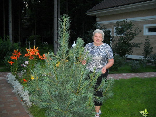 Людмила Попова