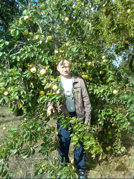 Сергей Сергиенко