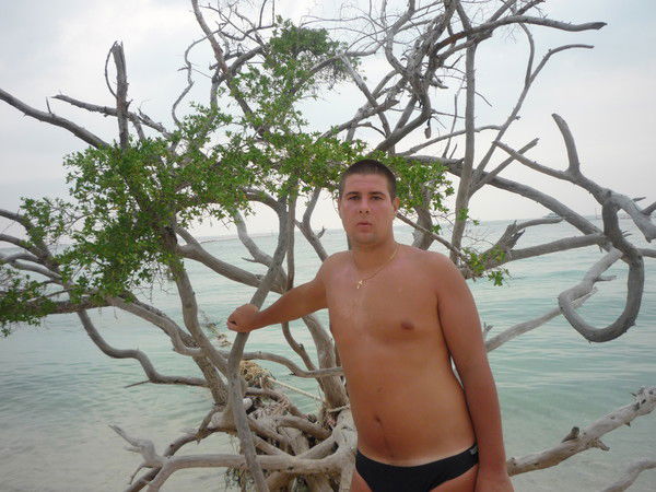 Николай Курилин