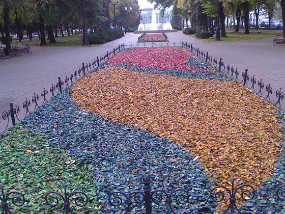 Юлия Борохова