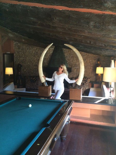 Елена Колесникова