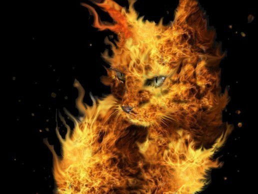 Анжела Фишер