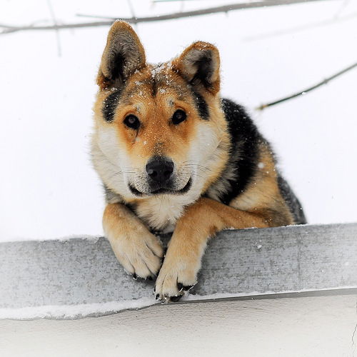Александр Рудых