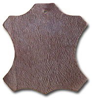 Андрей Гамм