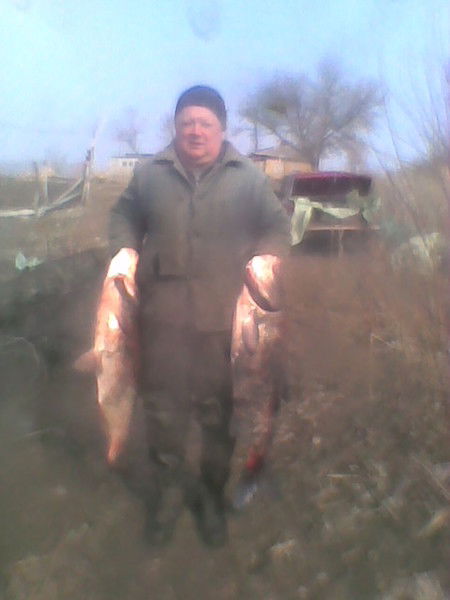 Владимир Губарь