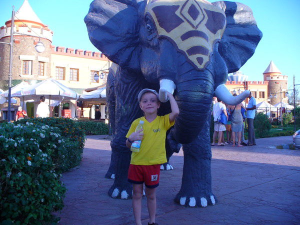 Артём Кольцов