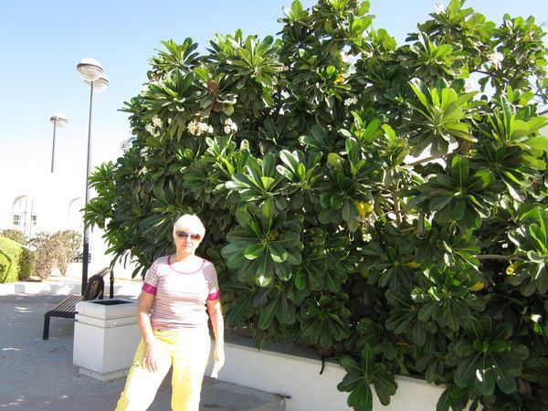 Тамара Прохорская