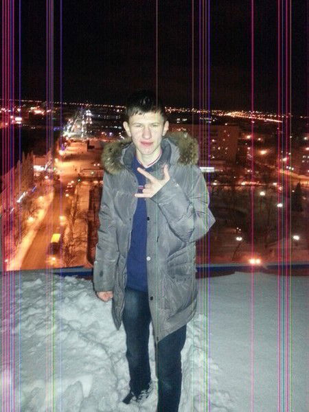 Николай Никитин